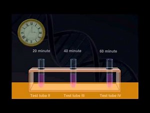 Semi-Conservative Law Of DNA Replication and meselson and stahl experiment