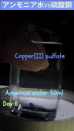 【実験】自作したアンモニア水と硫酸銅を混ぜてみた / Ammonia water vs Copper sulfate #shorts #アンモニア #硫酸銅