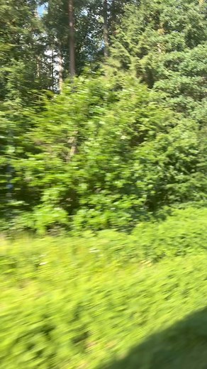 Auf dem Weg im Zug nach Berlin zur Ministerpräsidentenkonferenz: Es braucht jetzt klare Signale beim Thema Migration. Sofort-Arrest und Abschiebung für schwere Straftäter und Gefährder, Verhandlungen mit Syrien und Afghanistan, genauso wie ausgeweitete Grenzkontrollen. | Markus Söder