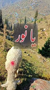 1.5M views · 109K reactions | Amazing View Zavin Maligam | Travel With Salman | Facebook