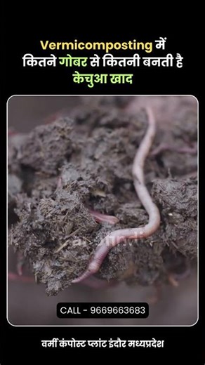Vermi Bed Compost Calculation #vermicompost #earthworms #vermiculture #agribusiness #fertilizer