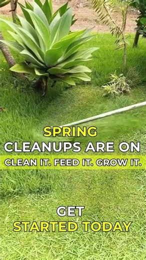 Spring Lawn Cleanup + 50% OFF on Your First Fertilizer Treatment