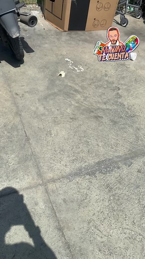 El dominicano es creativo por naturaleza SUPERMERCADO OLÉ TRATA MEJOR A TUS EMPLEADOS HAY UN DICHO QUE DICE TRATA BIEN A TUS EMPLEADOS QUE ELLOS CUIDARÁN DE TUS CLIENTES QUIEN ME CUENTA @jessicaenpunto @luinnycorporan @42northma @eldoctolnastra @santiagomatiasreal @pr1ncematias @promo809 @djcorona02 @elchicosandyoficial . . . . . . . #Reggaeton #trap #HipHop #musica #music #instagram #robotstudio #dominicanosoy #republicadominicana #latinos #urbanos #movimientourbano #chicosandy #dembow #alofoke