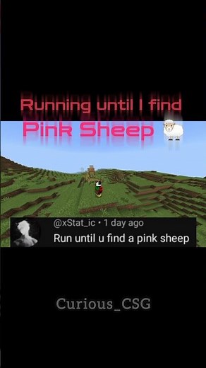 Finding the RAREST 0.16% Pink Sheep in Minecraft! 🤯🐑