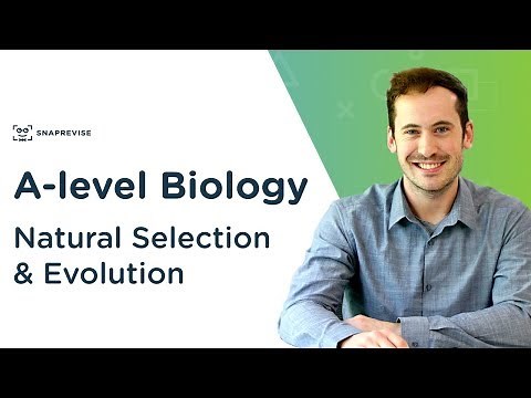 Natural Selection & Evolution | A-level Biology | OCR, AQA, Edexcel