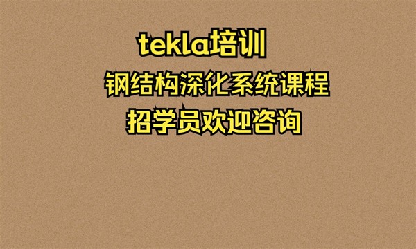 tekla培训