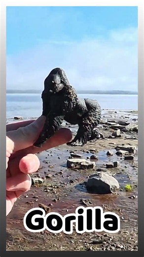Digging for a Gorilla! 🦍 Jungle Animals for Kids