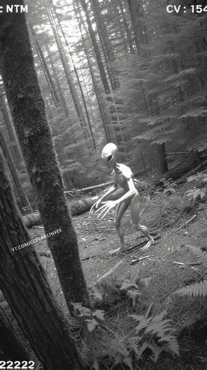 CCTV in Mountains Captures ALIEN… But Where Did It Come From? (Inexplicable Footage)