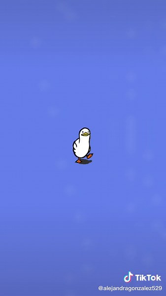 Charming Animated Bird Walking Across Colorful Backgrounds