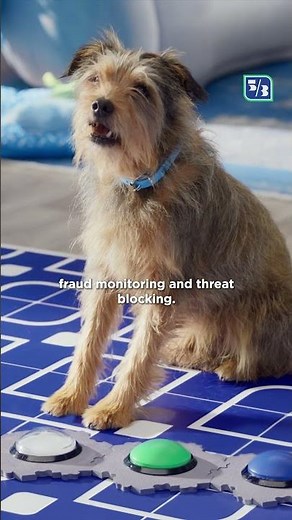 Protection a Fifth Third Better® | Fifth Third Bank