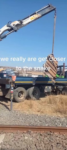 #kuyolayishwa a big python