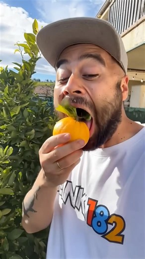 Want to eat My Oranges ?🍊🍊🍊🍊🍊🍊🍊