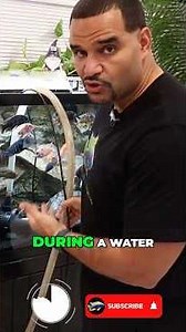 African Cichlids hit different! 🐟 #aquariumhobby #fishkeeping #africancichlids