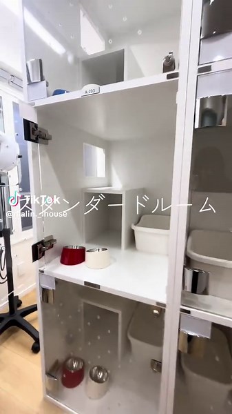 どんなお部屋だと泊まりたくなりますか？ ・ ・ ・ ・ ・ ・ キャットホテル まりんハウス #猫 #ねこ #cat #kitty #ホテル