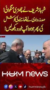 Shehbaz Sharif Requests an Umbrella, Zardari Steps Forward—The Rest Is Worth Watching