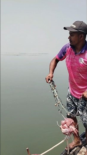 Fishing with Buffalo meat bait 06 #fishing #viralvideo #meat