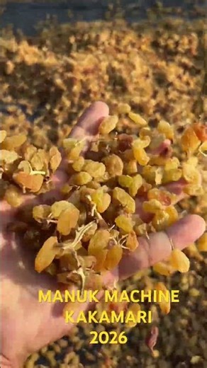 MM colour sorter machine KAKAMARI athani BELAGAVI 591265