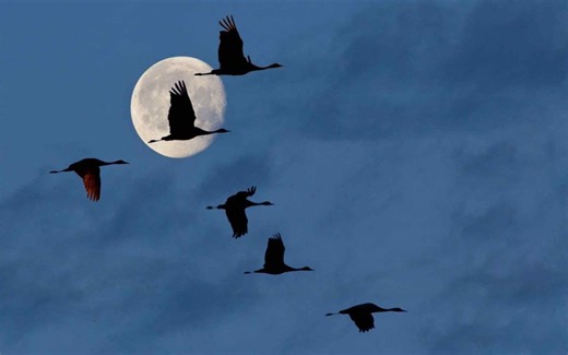 If you care about living things, turn off your lights at night