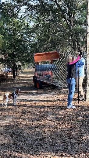 319K views · 2.1K reactions | Fencing Hack and BIG Mistake! #fencing #fences #fenceinstallation #Hack #oops | Piney Grove Homestead and Mini Farm | Facebook