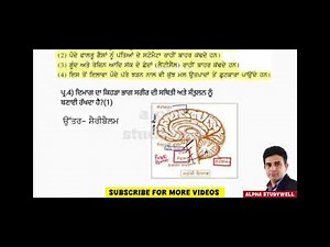 September paper science Punjabi medium