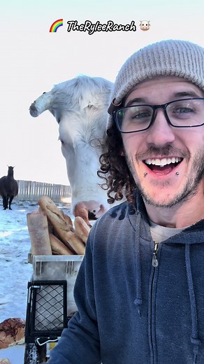 RyleeRanch on TikTok