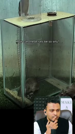 4.6K views · 302 reactions | Elon musk "Time Management HACK" Revealed! #elonmusk #timemanagement #timeboxing #planning #discipline #growth #mindset #successfulminds #lifelessons #lifechanging #motivationalvideos #adityarajkashyap | Aditya Raj Kashyap | Facebook