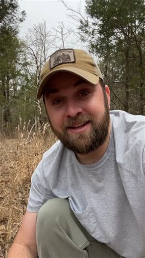Support the Native Habitat Project on Patreon to save the endangered Leafy Prairie Clover