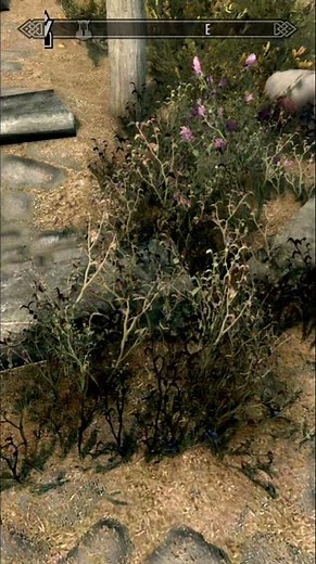 Craft Healing Potions Easily in Skyrim! 🍵✨