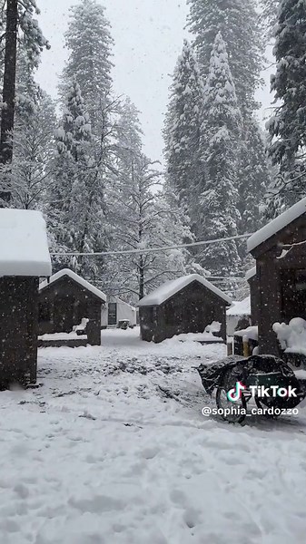Discovering Curry Village Cabins in Yosemite National Park