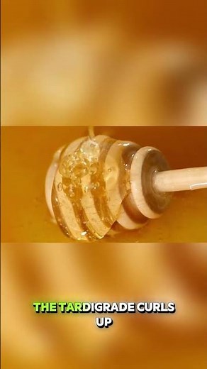 The Animal That Can Survive in Space 🚀