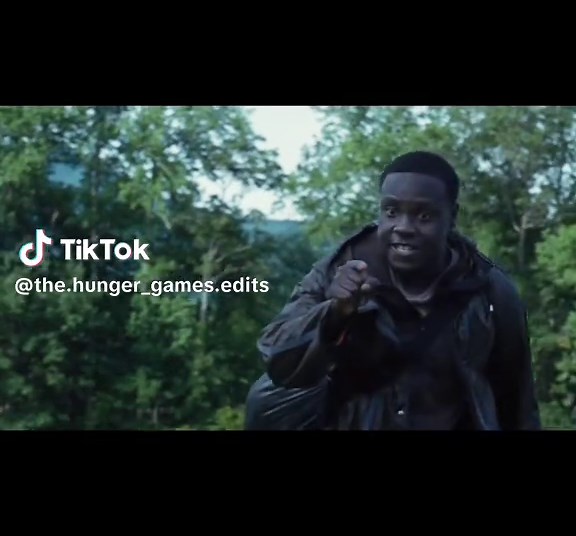 Tribute to Rue: A Heartfelt Reflection