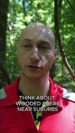 SARTECH 3 NASAR Certification Capabilities Explained | National Association for Search and Rescue