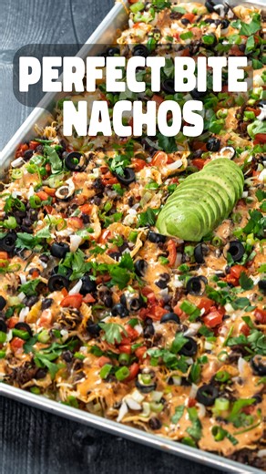 The perfect bite everytime, make these Perfect Bite Birria Nachos! Those Tostitos Scoops are a game changer! 🔥 | Dan-O's Seasoning