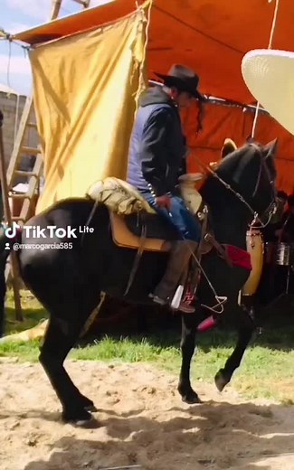 Marco Garcia8528 on TikTok