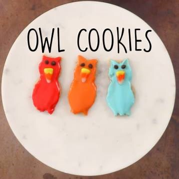 Owl Cookies: Festive sugar cookies this cute are hard to beat. Learn how to make them: http://trib.al/1S0K7Pu | MyRecipes