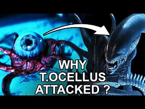 Dark Reason T. Ocellus Attacked the Xenomorph - Insane Theory