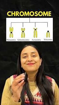 Chromatin & Chromosome | Cell: The Unit of Life #neet #biology #shorts #class11 #ytshorts #study