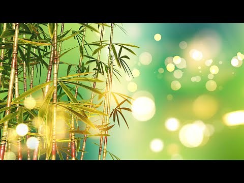 Relax with Beautiful Piano Music 🎹 Soothing Music for Maximum Relaxation & Meditation