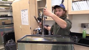 Salmon in the Classroom: in-class tank set up video