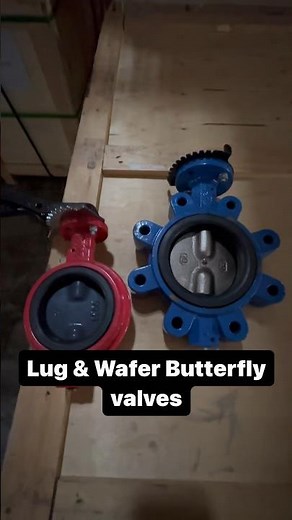 Lug vs Wafer butterfly valve #butterflyvalves #valves #everythingvalves