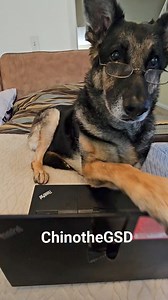 Ma over here "what are you doing with my laptop Chino?" Non your damn business woman! | Chinothegsd