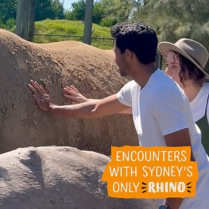 763 reactions · 29 shares | There’s so much to do at Sydney Zoo! See Sydney's ONLY white rhino, get closer to the animals with the most Encounters in Sydney, Keeper Talks and more! 李. Book online & SAVE! | Sydney Zoo | Facebook