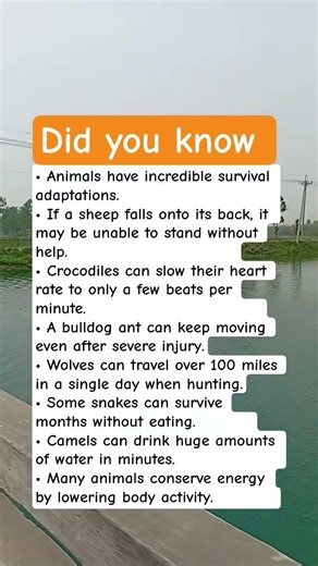 Strange Animal Survival Facts