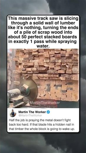 THIS SAW EATS WOOD FOR BREAKFAST