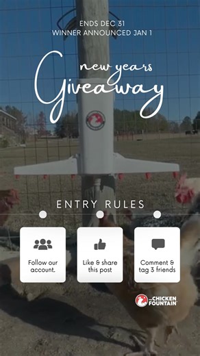 New year. Fresh starts. Fewer chicken chores. ✨ We’re giving away The Chicken Fountain™ to help one lucky chicken keeper kick off the year with clean, automatic water. ⏰ Ends Dec 31 🎉 Winner announced Jan 1 | The Chicken Fountain