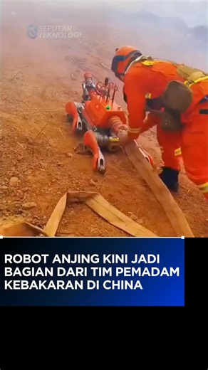 Robot anjing kini bantu pemadam kebakaran di lapangan! Dikerahkan di garis depan, robot ini membantu tim dengan menjelajahi area panas, membawa selang, dan beroperasi di zona berbahaya yang biasanya berisiko tinggi bagi manusia. Tujuannya sederhana: menjauhkan petugas pemadam dari bahaya dan menggantinya dengan robot yang bisa bekerja di tempat mereka. Inilah salah satu contoh nyata penerapan robot yang paling jelas, praktis, menyelamatkan nyawa, dan bisa diterapkan secara luas. Menurut kamu, ap