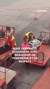 Avec beaucoup de tendresse et de respect, cet employé de l'aéroport fait en sorte que les animaux de compagnie qui voyagent en avion se sentent vraiment uniques et importants. Il apporte beaucoup de tendresse et de tranquillité aussi bien aux animaux qu'à leurs maîtres ... | Incroyable
