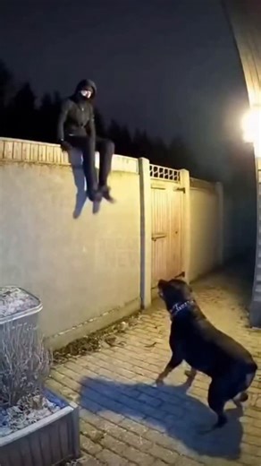 PARTHO WILDLIFE on Instagram: "🇯🇵✨ 日本では、圧電タイルを使って人々の足跡を電気工 ネルギーに変換しています。 これらのタイルは、あなたの足から生まれる運動工 ネルギーを捉えます。 1歩くたびに、体重と動きがタイルに圧力をかけ、 わずかに曲がります。その際に生じる機械的な応力を、内部の圧電材料が電気に変換します。 チー歩ごとに少量の電荷が発生し、何百万もの足跡 が組み合わさることで、LEDライト、ディスプレ イ、センサーを動かすのに十分な電力が生まれま す。 渋谷駅のような人が多い場所では、毎日およそ240 万歩がこのシステムに貢献しています。 この電力は蓄電や即時利用が可能で、 従来の電力への依存を減らし、持続可能な都市イン フラを支えています。 ▫️日常の動きを実用的な再生可能エネルギーに変え る革新的な方法です。 #日本 #知識 #事実 #知ってた #おすすめテクノロジーイノベーション 歴史 技術実験 人気 Sustainable FutureEnergy"