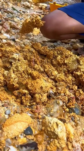 how to find gold on river #viralgold #goldhunter #goldpaning #mininggold #gold #goldprospecting #golddiscovery #goldrush #foryou #foryoupage