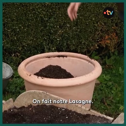 37K views · 929 reactions | Nos experts sortent les gants et les bulbes pour vous guider dans la plantation en pot de trois stars du jardin : les lys majestueux, les dahlias éclatants et les élégantes isménes. De quoi faire fleurir balcons et terrasses tout l'été ! | Silence ça pousse | Facebook